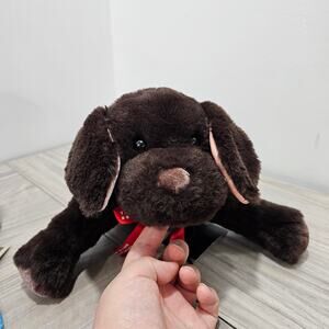 Two Blind Brothers Braille Plush Puppy Dog WITH TAG Chocolate Lab 2021